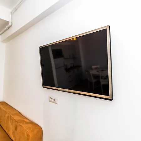 Seashell Casa Del Mar